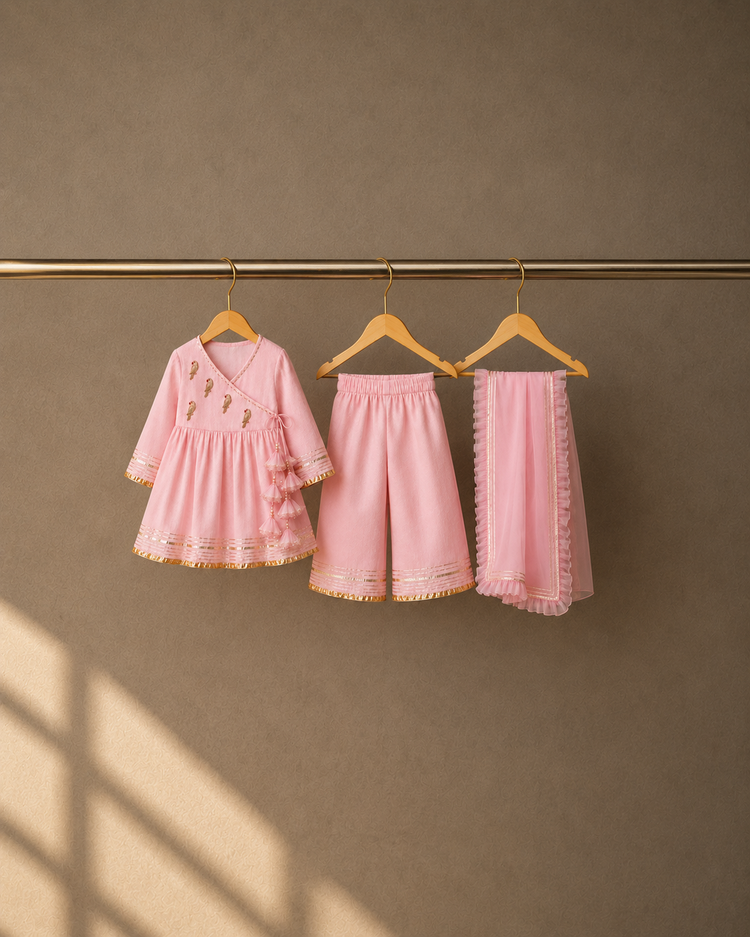 Anaario Pink Parrot Angrakha Set, pink angrakha top, pants and dupatta on hangers