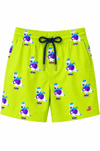 Boy wearing Anaario Skate Fruit Shorts