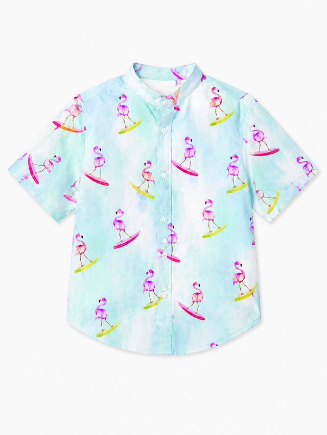 Boy wearing Anaario Surfing Flamingo Shirt Set