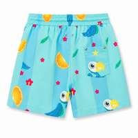 Boy wearing Anaario Toucan Tropic Shorts