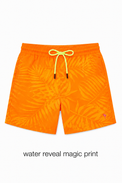 Boy wearing Anaario Turtle Tide Magic Shorts Co-ord Set