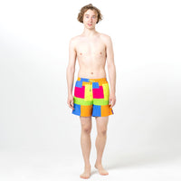 Multicolored Blocks Fun in the Sun Shorts