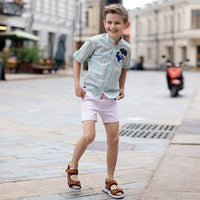 Blue and grey stripes- Classique Shirt 2024