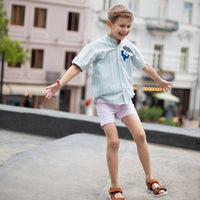 Blue and grey stripes- Classique Shirt 2024