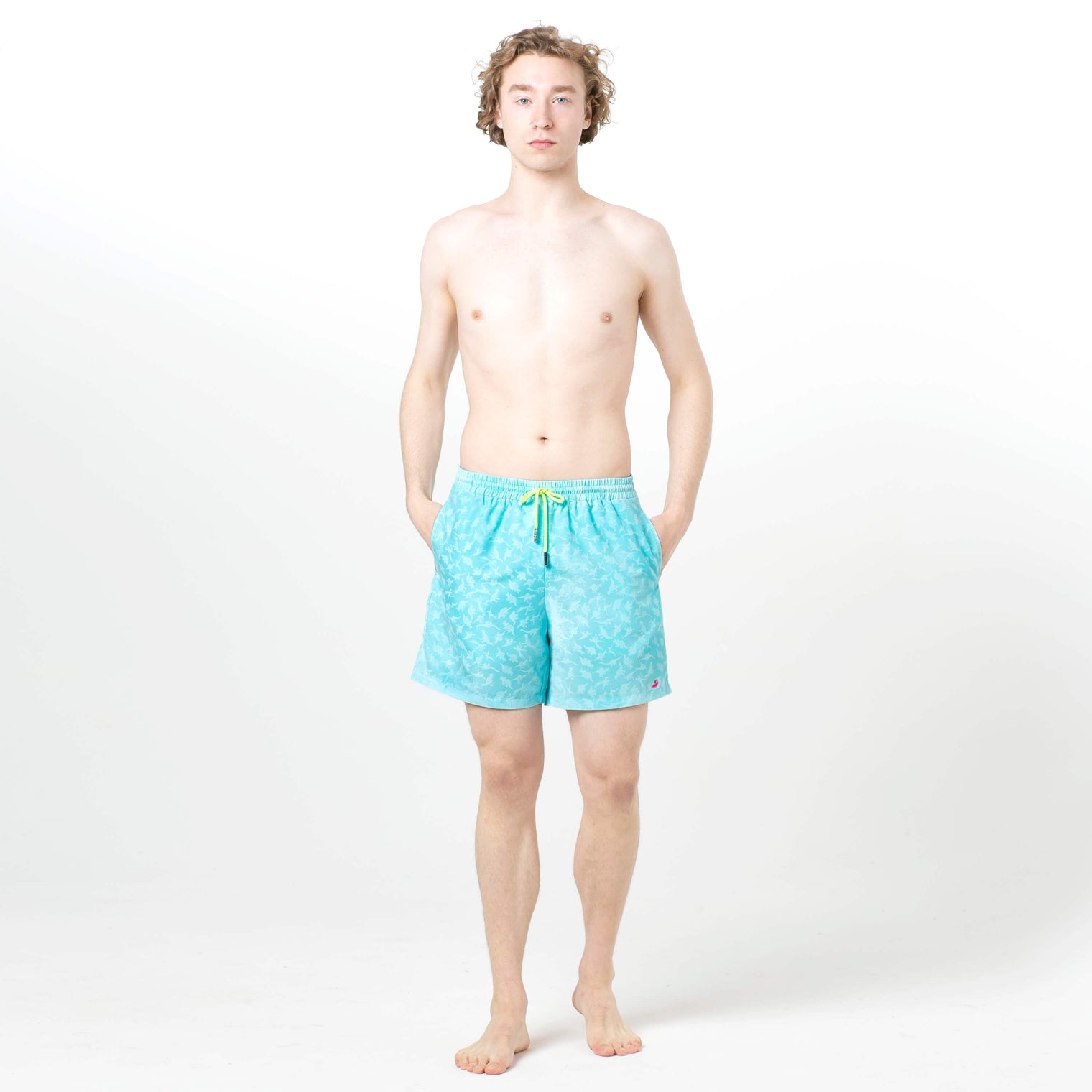 Aqua Magic Printed Shorts